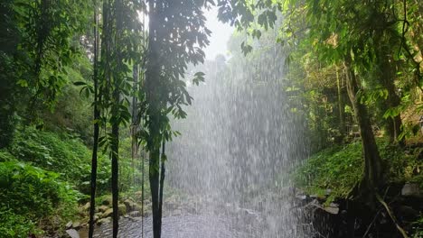 a tranquil waterfall cascades in lush rainforest, captured with smooth camera movement and natural lighting