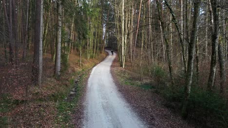 joven motociclista compitiendo con su bicicleta en el bosque