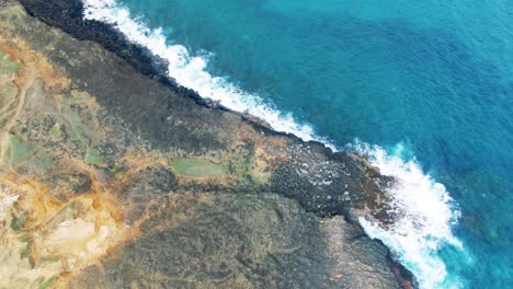 Volcanic-rocky-coastline-and-green-fields-at-Hawaii,-aerial-tilt-up