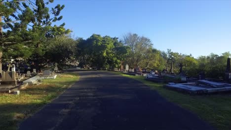 Aerial-drone-low-level-shot-along-cemetery-road-and-under-tree-branch