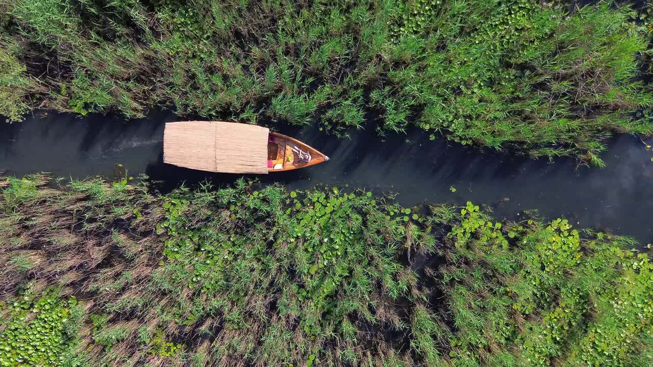 A wooden boat passing along marsh willows, aquatic vegetation, Lake Skadar National Park, Aerial