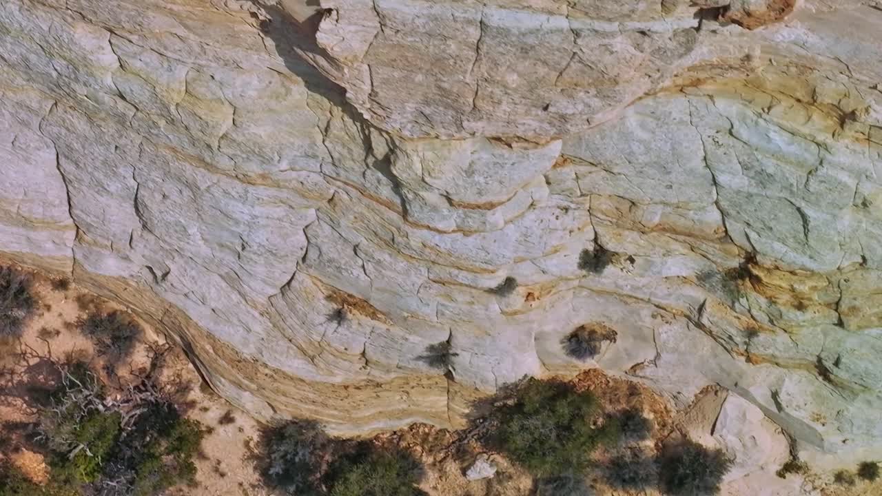 Paisaje del desierto de Mojave con árboles secos y vegetación escasa en EE. UU.