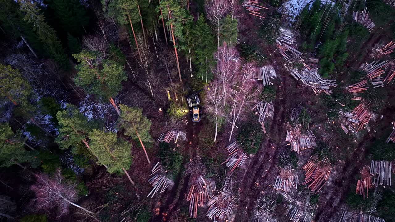 Forest machinery harvesting timber, showing deforestation and wood resource management, aerial top down view