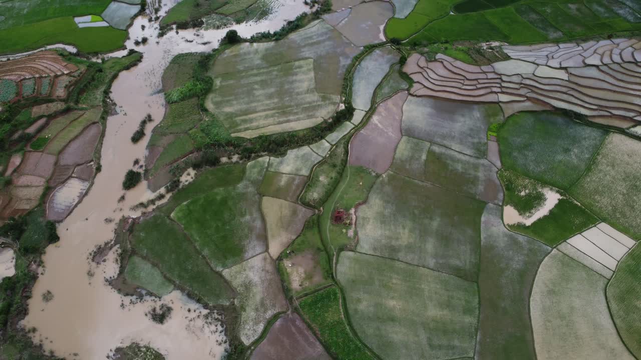 vista aérea de los humedales y los campos de arroz de madagascar, áfrica