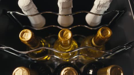 botellas de vino en un enfriador de vino