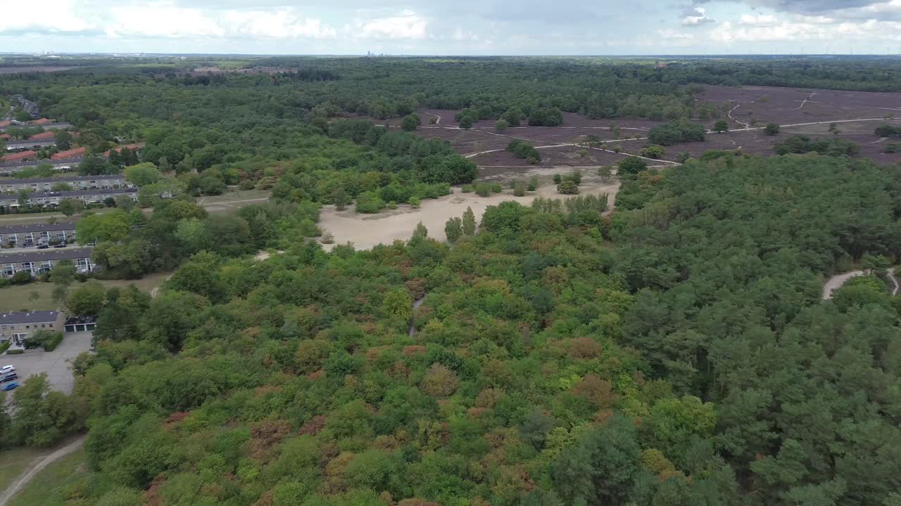 Hilversum forrest Netherlands nature green Heathlands drone
