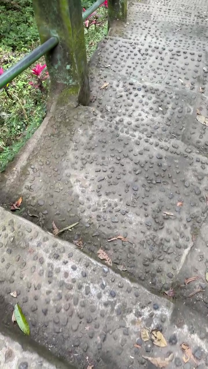 Person Walking Down Stone Steps in a Lush Garden
