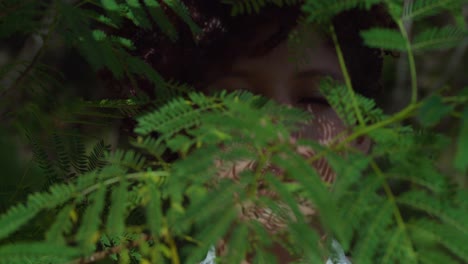 brown eye latina girl in a park with leaves of a tree in the foreground