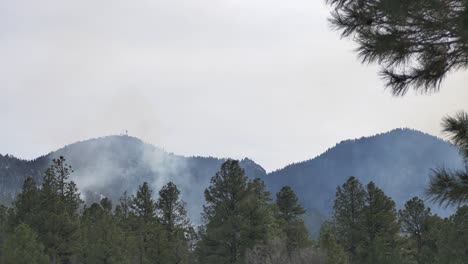 Humo-Saliendo-De-Un-Bosque-De-Montaña