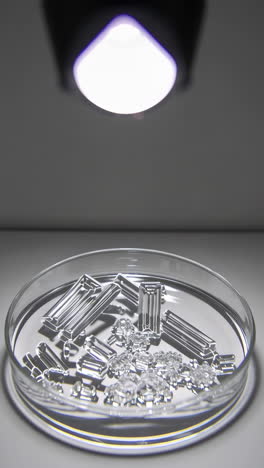 crystals in petri dish under light