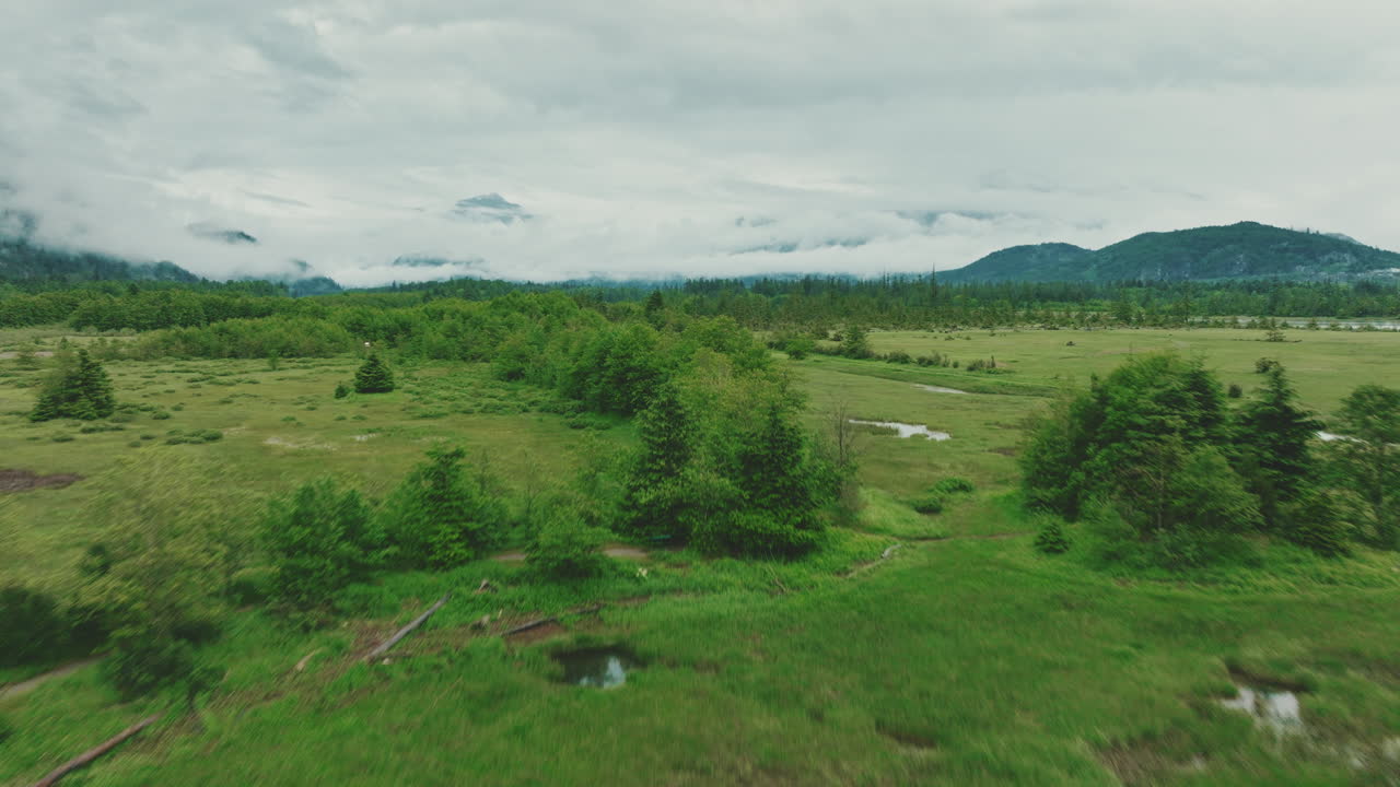 vuela bajo sobre el vasto estuario.
