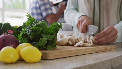 mid section of senior caucasian woman at home in the kitchen wearing an apron and chopping vegetable