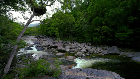 Mossman-River-Gorge-Wasserfall-Gebirgsfluss-Im-Daintree-Regenwald,-Australien,-Mit-üppig-Grünen-Tropischen-Regenwald-Dschungelfarnen-Und-Palmen