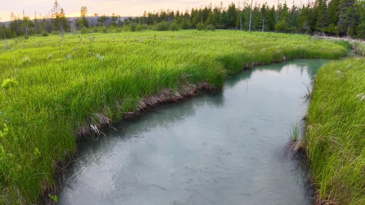 Aerial drone footage of a narrow river flowing through vibrant green forest landscape