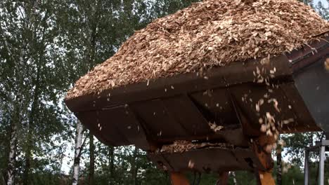 Large-bucket-of-front-end-loader-pouring-sawdust-into-truck-body