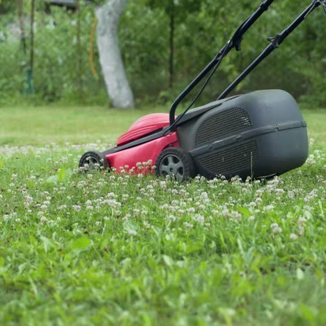 young boy cutting the grass with a lawn mower in summer time