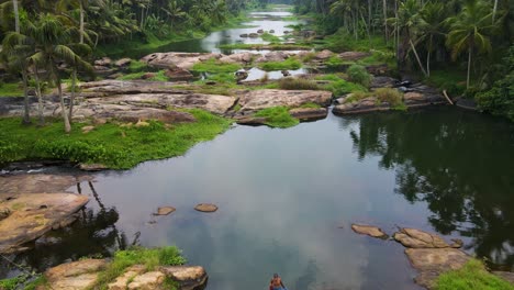 aerial drone shot over kerala’s dense coconut tree forest, where a calm river meanders through the lush greenery.