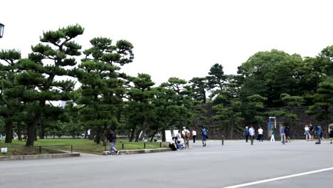 imperial palace park in tokio, tokyo, japan, asia