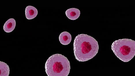 animation of micro of red and pink cells on black background