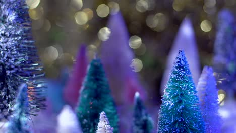 Slow-pan-right-to-left-across-bottle-brush-tree-forest-at-night