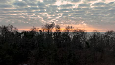 Moving-up-over-the-pine-trees-to-see-nature-showing-off