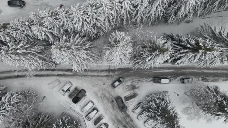 Eine-Schneebedeckte-Straße,-Die-Sich-Durch-Ein-Dorf-Schlängelt,-Umgeben-Von-Schneebedeckten-Bäumen-Und-Malerischen-Häusern