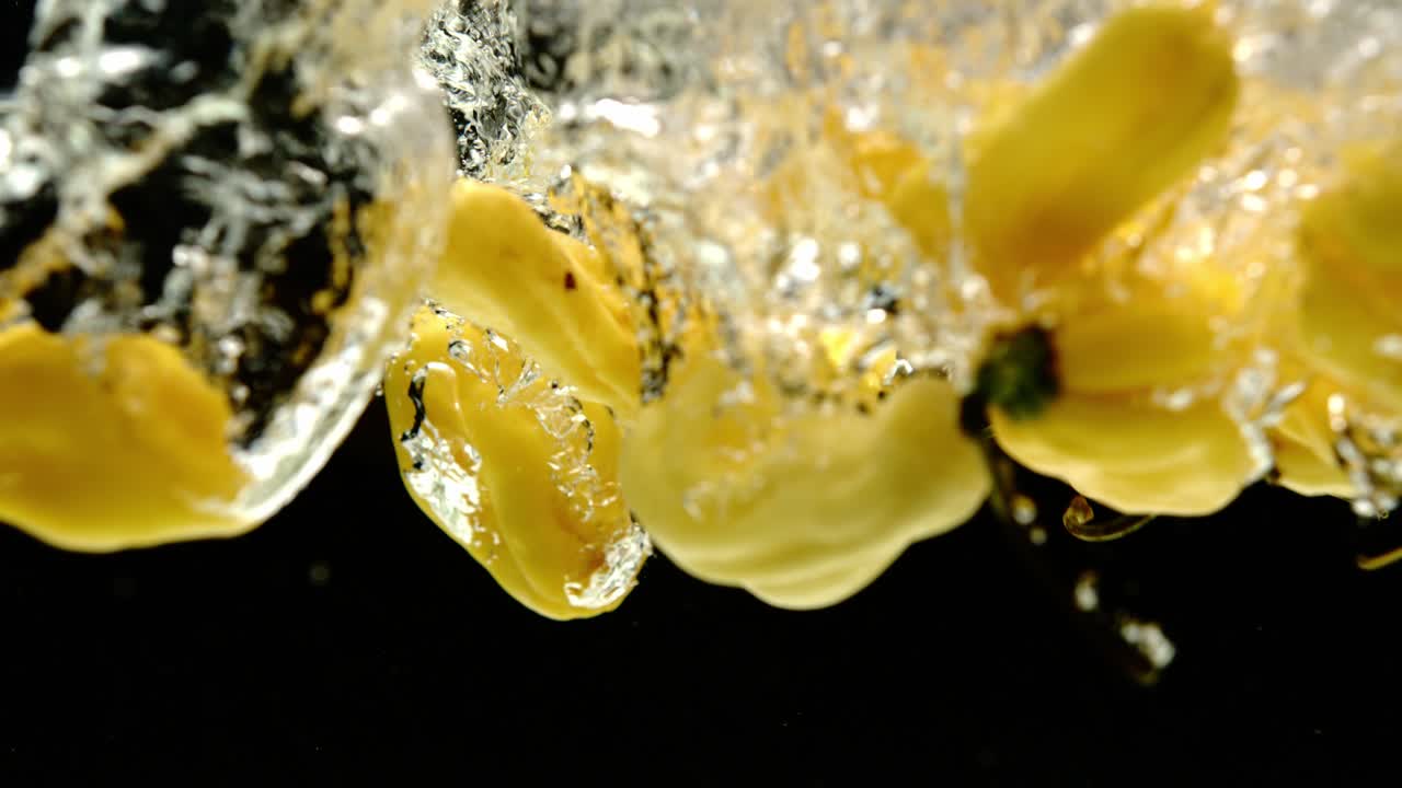 검은 바탕에 물에 떨어지는 신선한 마담 제네트 고추의 슈퍼 느린 움직임