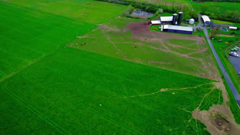 Farm-with-cows-in-Howard-Pennsylvania,-USA