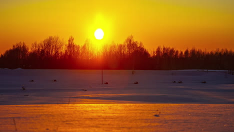 Zeitraffer:-Wunderschöner-Goldener-Sonnenuntergang-Hinter-Waldbäumen-An-Einem-Verschneiten-Wintertag