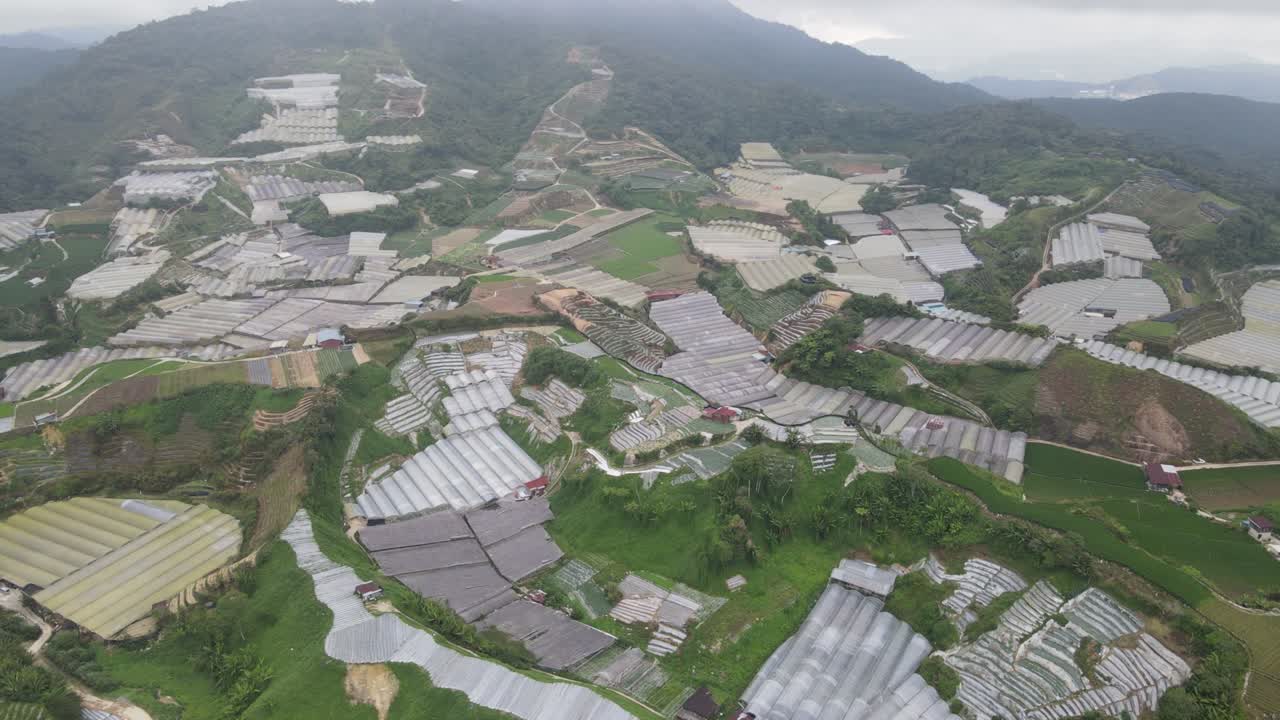 말레이시아의 카메론 하이랜드 지역 내의 브린창 지역의 일반 풍경