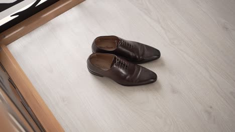 pair of elegant brown shoes resting on bright wooden surface