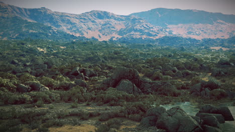 arid desert landscape with mountains in the background