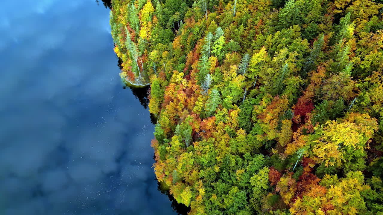 Top view of the autumn forests on the shore of Lake Toplitz in the Austrian Alps