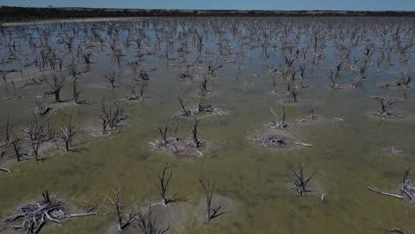 a flight over lake taarbin shows how bad the degradation of this landscape is