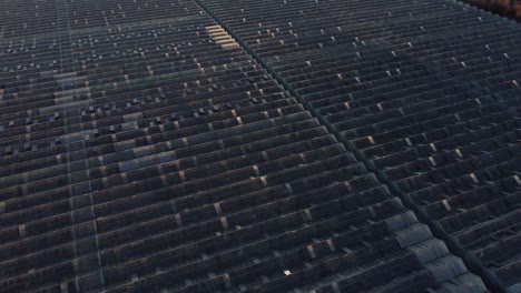 Drone-Fly-Above-Greenhouse.-Growing-vegetables.-Aerial-View