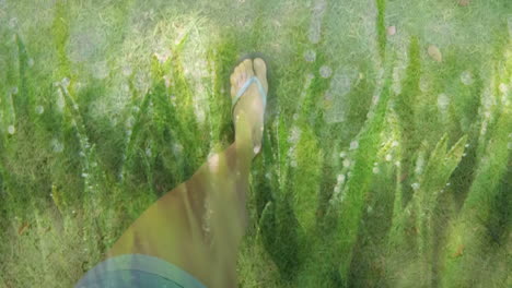 composite video of green grass against low section of a caucasian woman walking in the garden