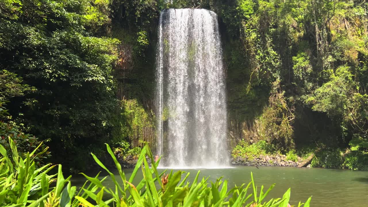 Millaa Millaa Falls cascading in the Atherton Tableland, Queensland, Australia