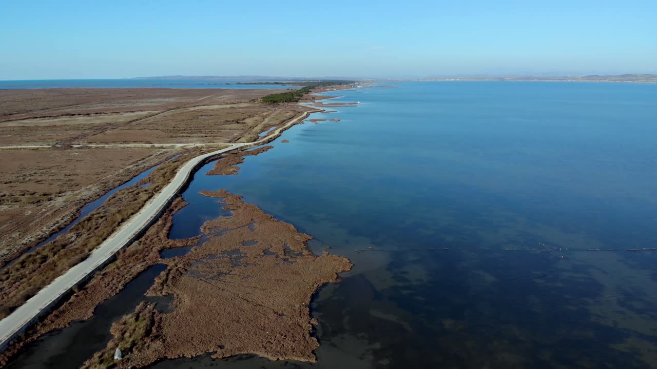 Aerial view of natural shallow lagoon with clear water surrounded by reeds where migratory birds built nests