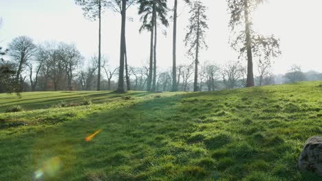 bright scenic footage taken around the trentham gardens estate, uk