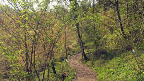 Arboretum-of-Aubonne-pathway,-Switzerland.-Static-view