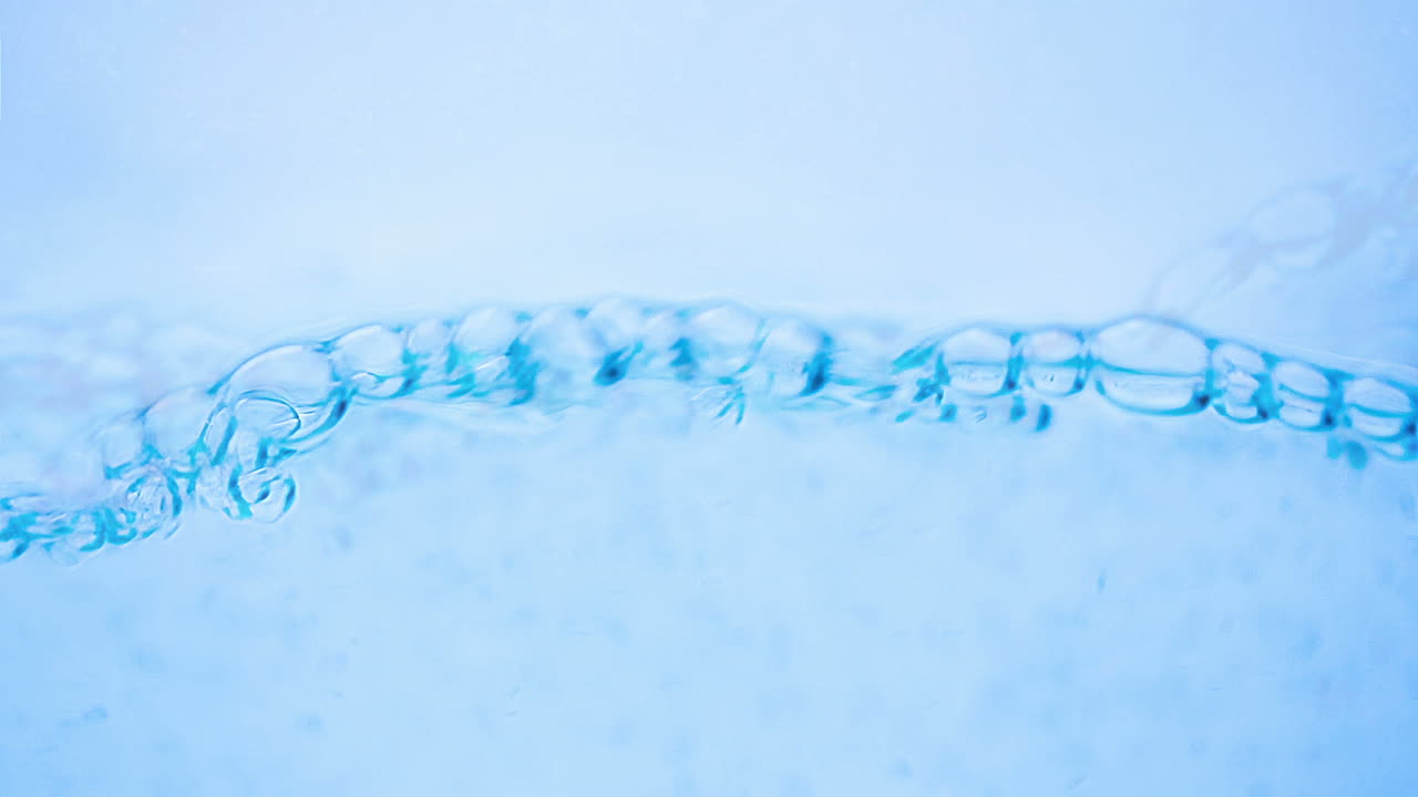 물을 닫으세요.