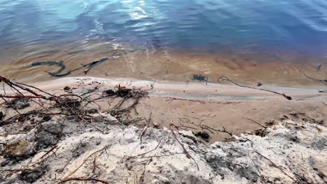 sandy shoreline and clear water of a lake or river