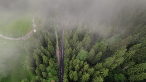 tilt up of foggy road with pine trees, low hanging clouds and view of mountains