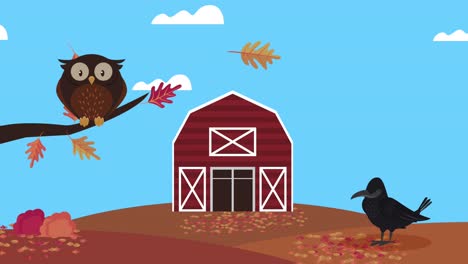 hello autumn animation with crow and owl in stable