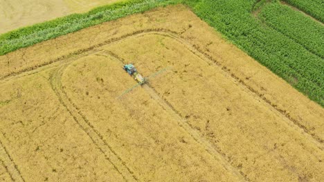 Luftaufnahme-Von-Oben-Von-Einer-Fliegenden-Drohne-Eines-Landes-Mit-Gesäten-Grünen-Feldern-Auf-Dem-Land-An-Einem-Frühlingstag