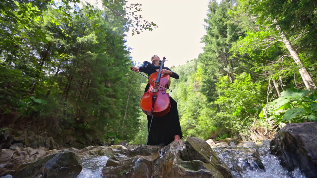 Beautiful woman playing cello outdoors. Young lady in long dress performing music on amazing summer nature background.