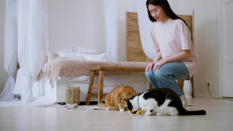 woman feeding cats