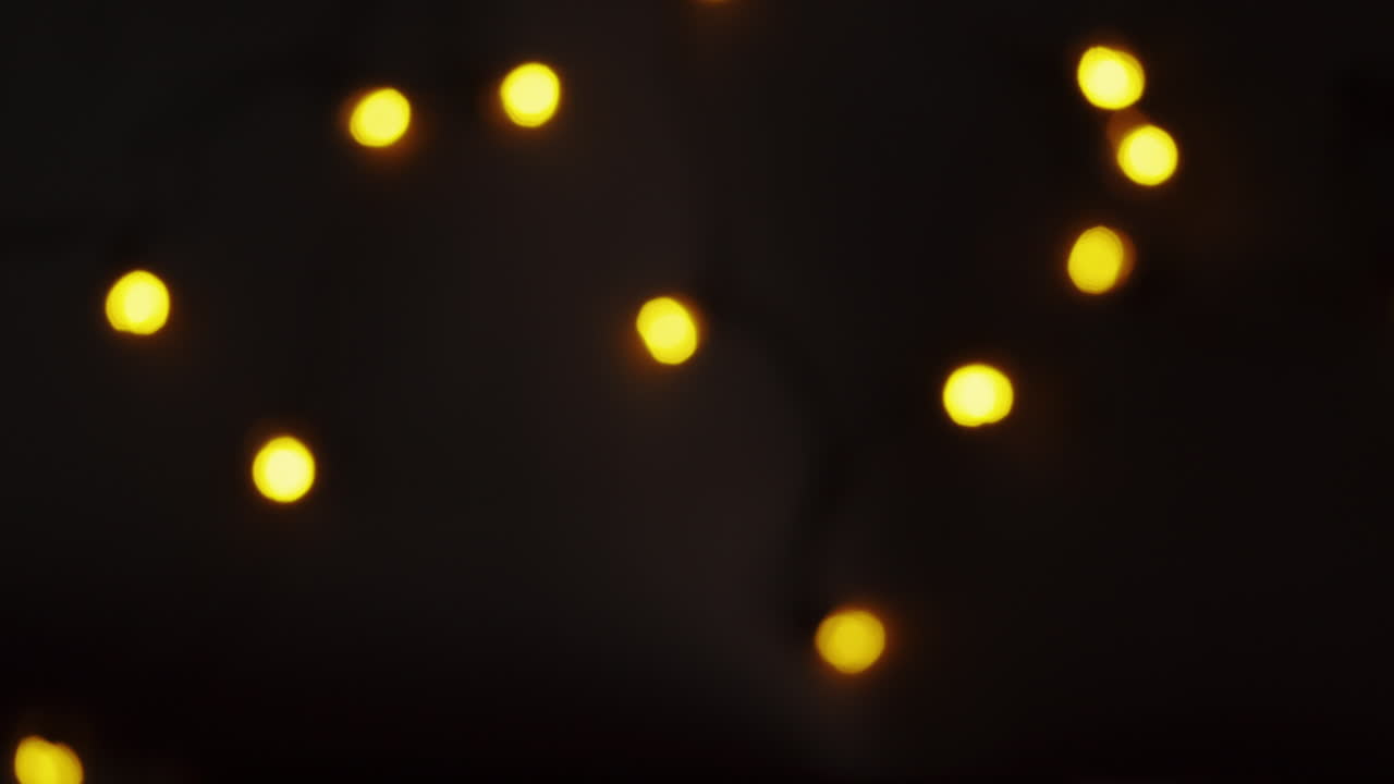 새해를 축하합니다.