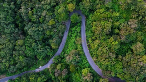 vertical drone flight over a curved road, traveled by scooters, in the topical forest with green palms and trees in 4k on phuket island