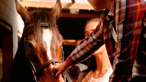 mother and daughter petting a horse 4k